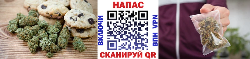 OMG ТОР  Петровск-Забайкальский  Canna-Cookies конопля 