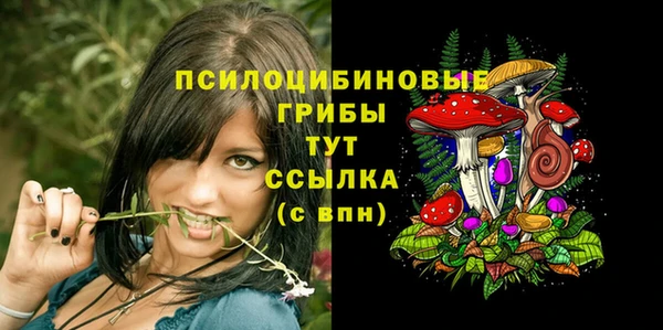 крисы Балабаново