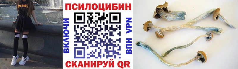 Псилоцибиновые грибы GOLDEN TEACHER Петровск-Забайкальский